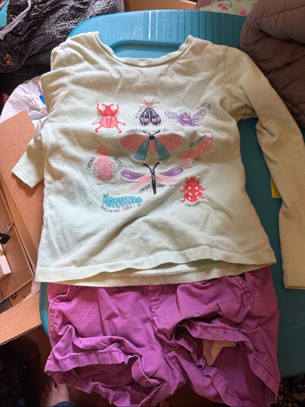 Fat Face Mint Green Long-Sleeve Tee with Colorful Bug Embroidery